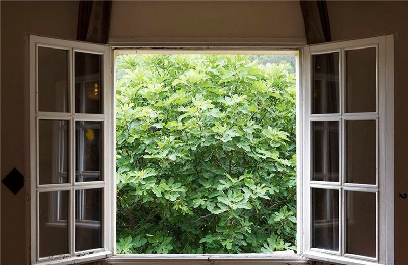 整木定制裝修完如何去除甲醛味道？(圖1)